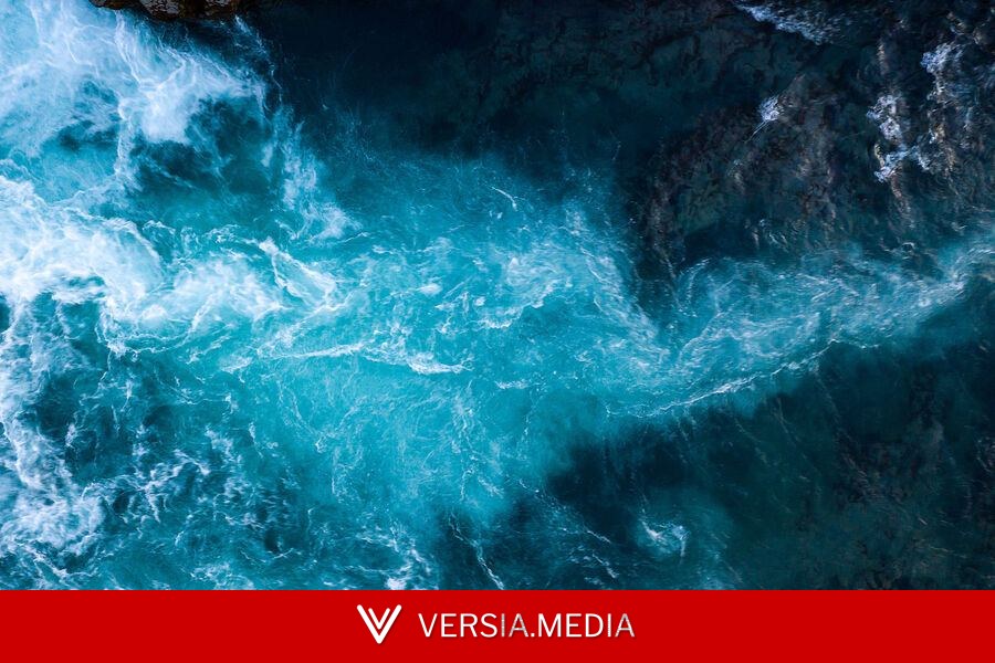 اكتشاف مقبرة غامضة لحيتان عمرها 5 ملايين عام في قاع المحيط — Politics | Versia.media